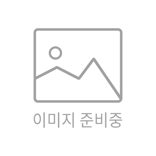 비전H