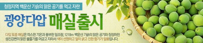 광양 다압매실 기획전
