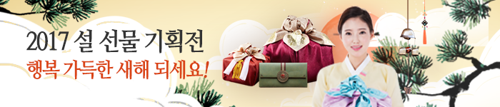 2017 설기획전